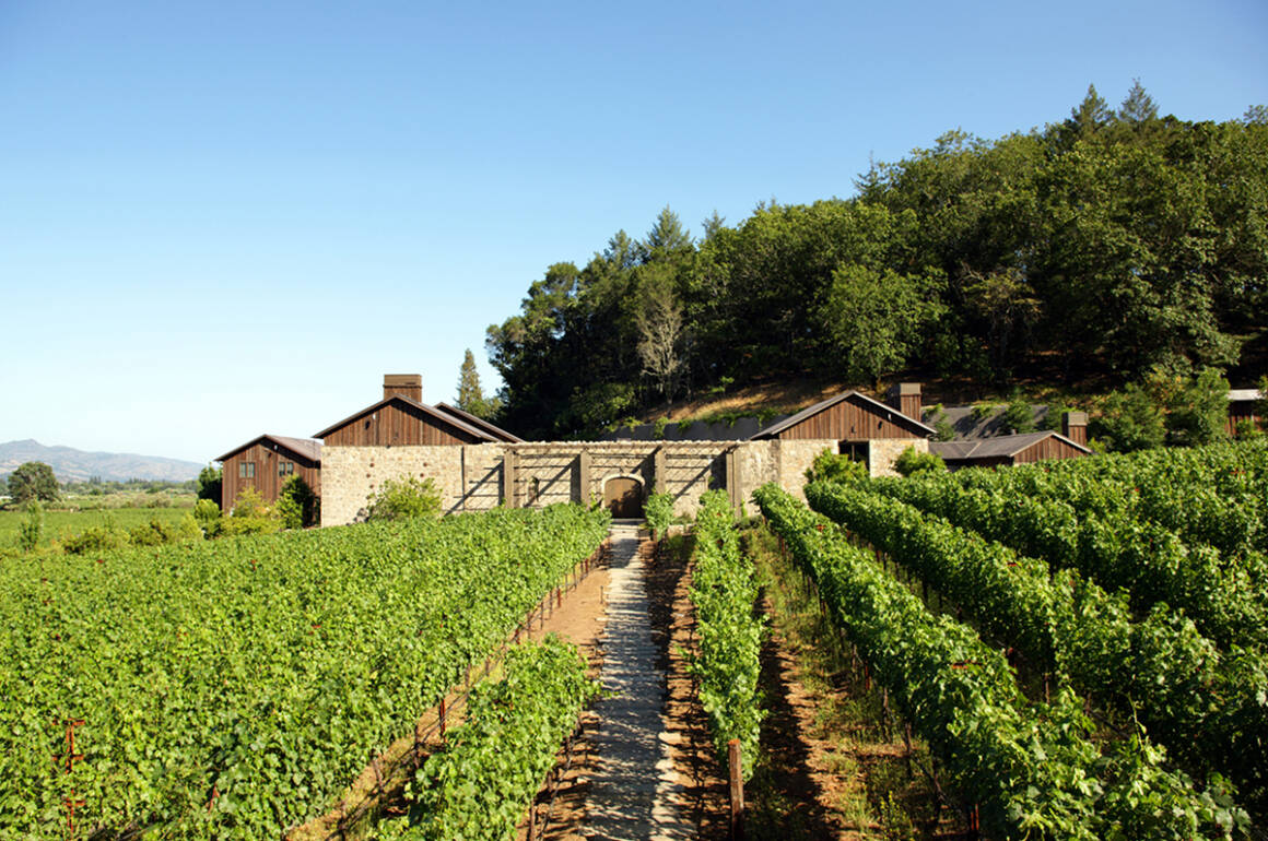 a vineyard with a house at the back